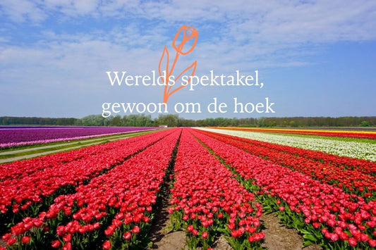 Dit is Nederland op zijn allermooist!